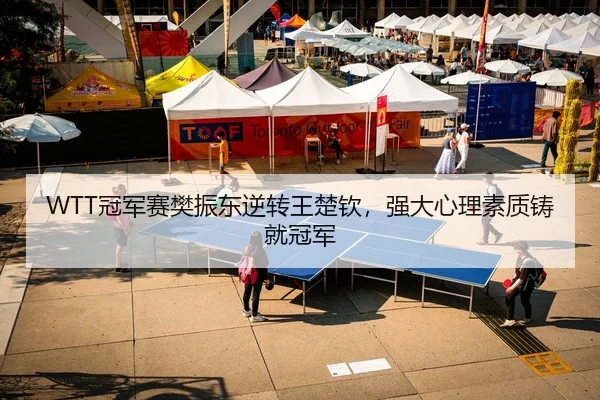 WTT冠军赛樊振东逆转王楚钦，强大心理素质铸就冠军 - Leyu