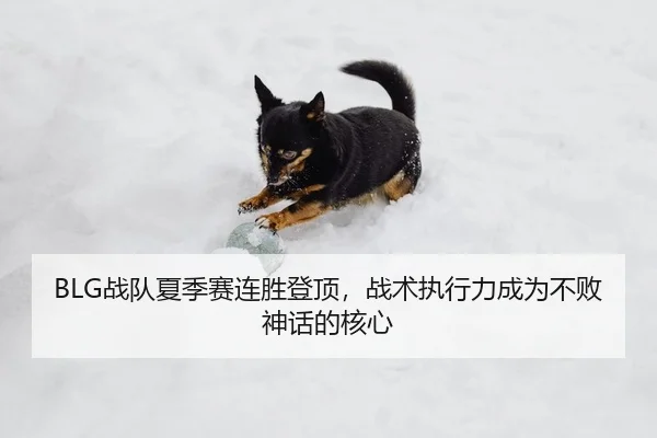 BLG战队夏季赛连胜登顶，战术执行力成为不败神话的核心（Leyu）